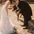 Bride wearing Bridget by Maggie Sottero and her husband petting a donkey