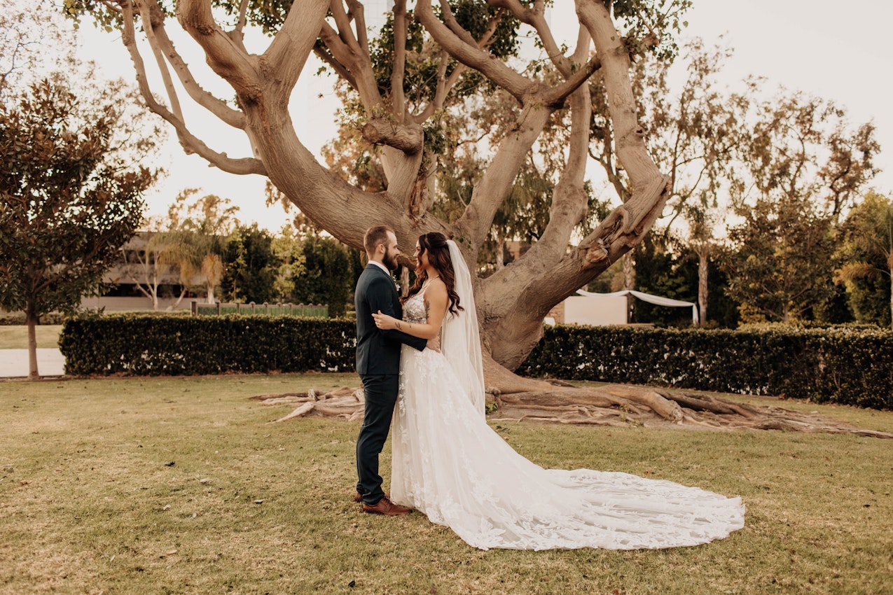 Bride and groom looking at each other in front of an old tree.