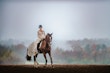 Bride wearing Drita wedding dress by Maggie Sottero on a horse