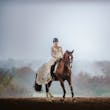 Bride wearing Drita wedding dress by Maggie Sottero on a horse