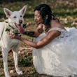 Bride Wearing Lace Ballgown Wedding Dress Called Sasha By Maggie Sottero Petting Her Dog