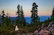 Bride In Boho Sheath Hattie Lane Marie Rebecca Ingram With Groom