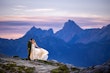 Bride In Boho Sheath Hattie Lane Marie Rebecca Ingram With Groom