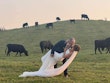 Bride Wearing Sparkly Fit And Flare Wedding Dress Called Anniston Lane By Maggie Sottero Kissing Groom In A Field With Cows